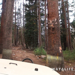 00328.MTS.00_00_00_19.Still001