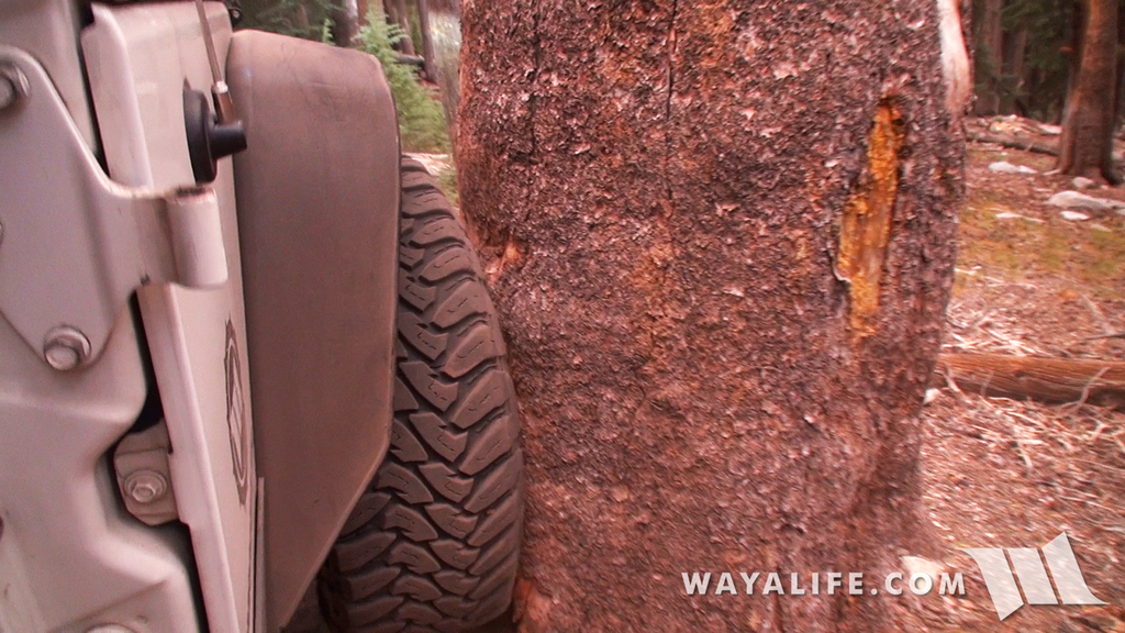 00328.MTS.00_00_04_07.Still002