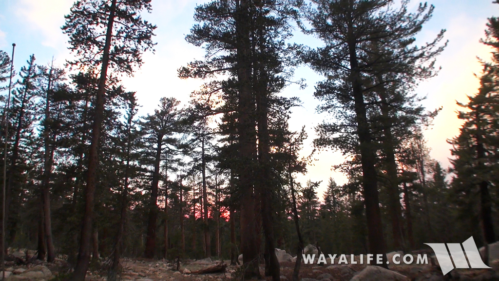 00331.MTS.00_00_26_39.Still001