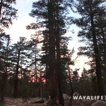 00331.MTS.00_00_26_39.Still001