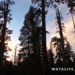 00331.MTS.00_00_53_55.Still002