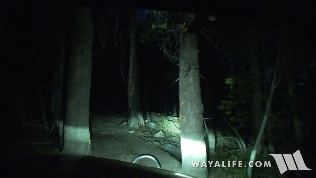 00339.MTS.00_00_00_27.Still001