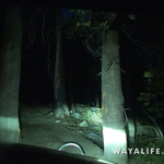 00339.MTS.00_00_00_27.Still001