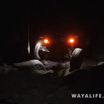 00343.MTS.00_00_23_54.Still002