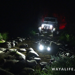 00349.MTS.00_00_10_54.Still001