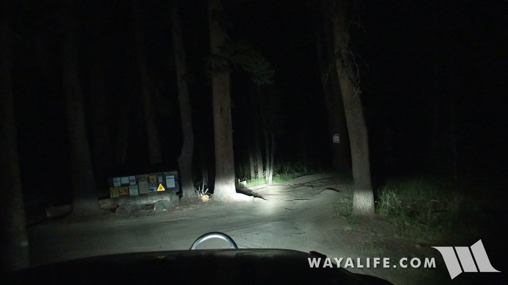 00356.MTS.00_00_29_26.Still001