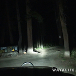 00356.MTS.00_00_29_26.Still001