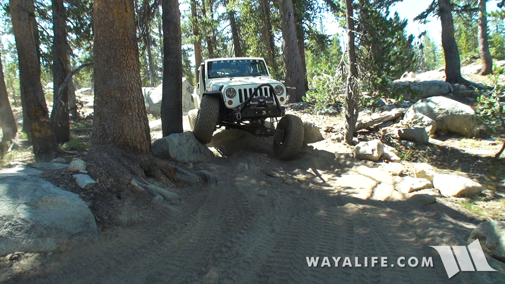 00418.MTS.00_00_48_32.Still001