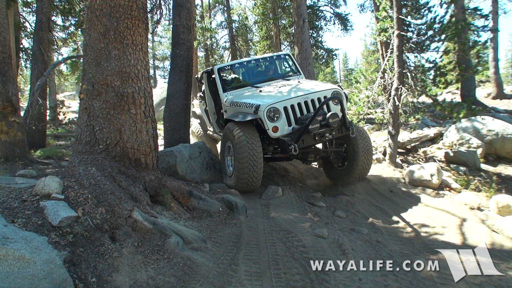 00418.MTS.00_00_49_56.Still002