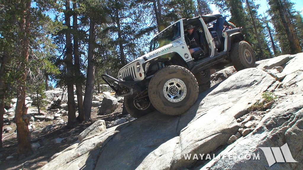 00419.MTS.00_00_49_48.Still001