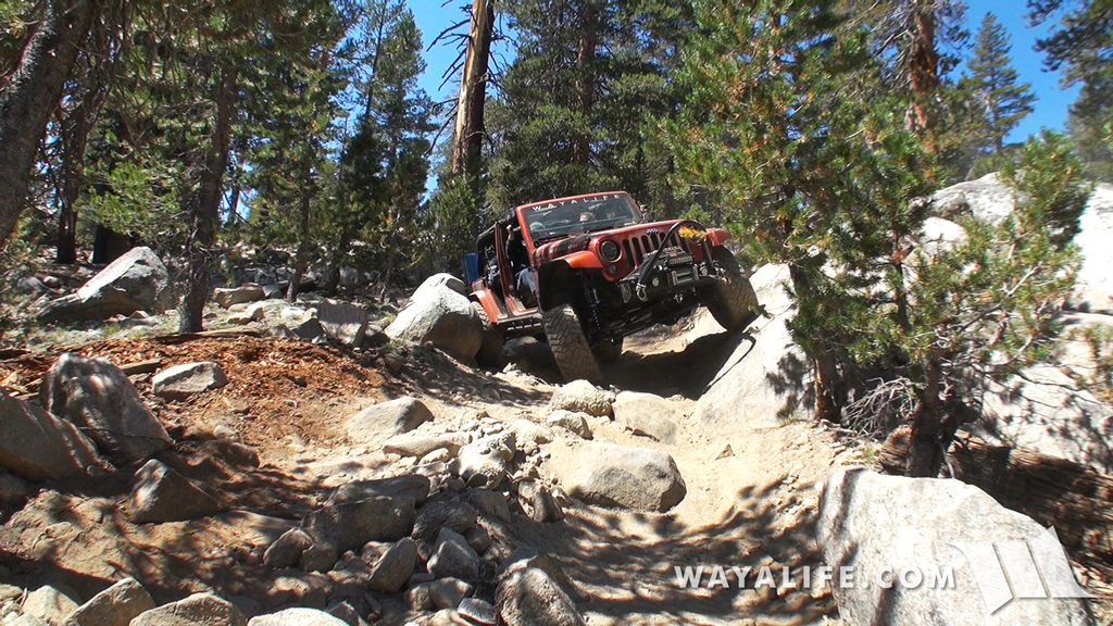 00421.MTS.00_00_50_37.Still001