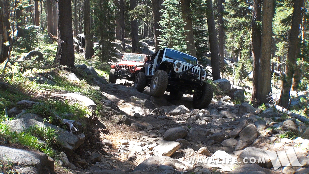 00427.MTS.00_00_14_38.Still001