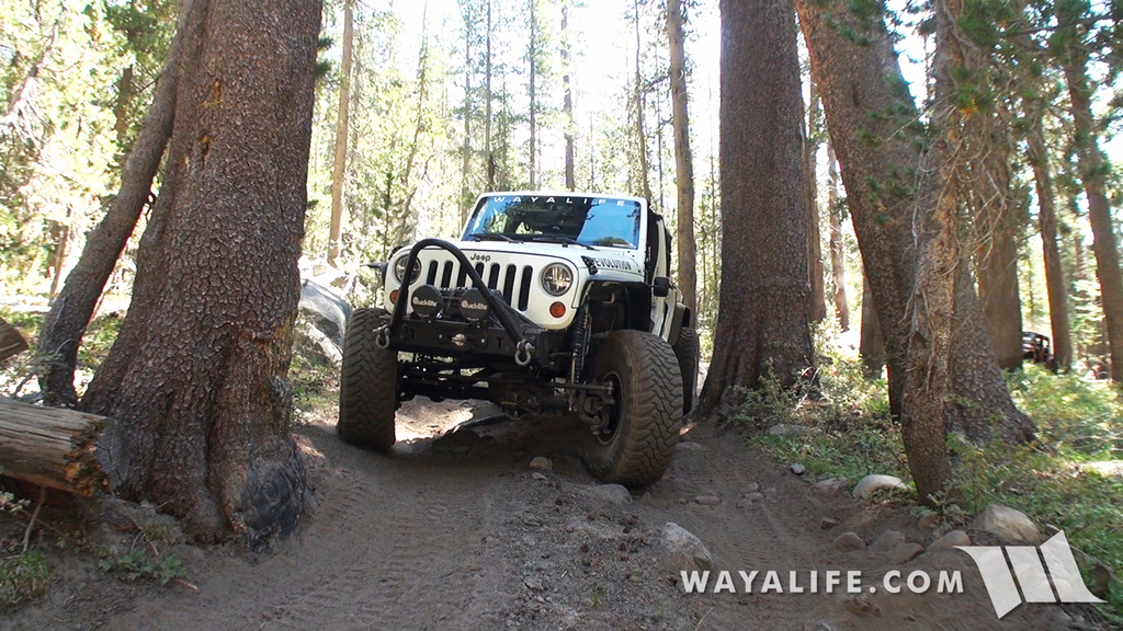 00428.MTS.00_00_12_28.Still001