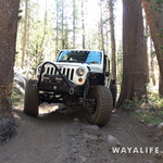 00428.MTS.00_00_12_28.Still001