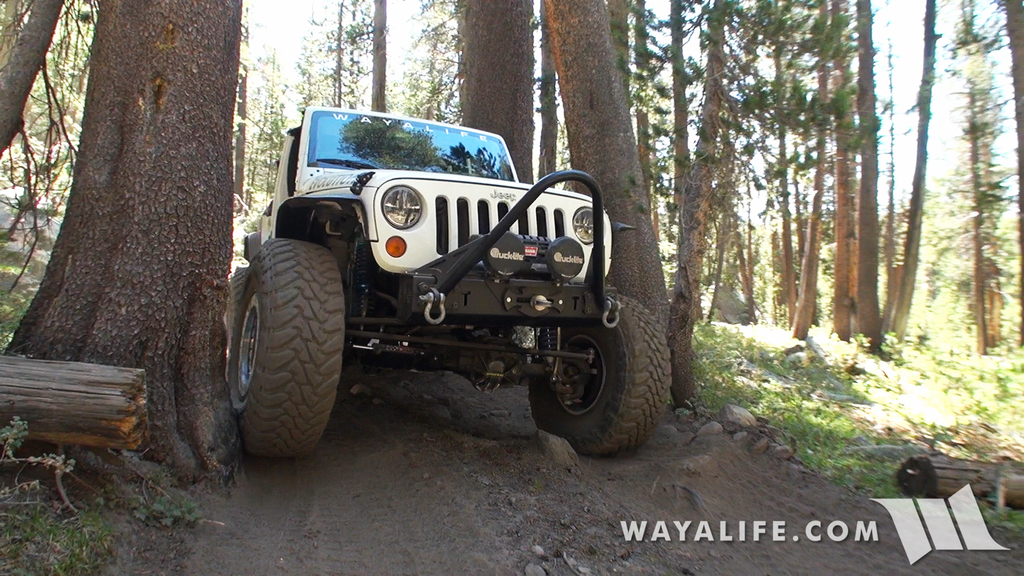 00428.MTS.00_00_14_54.Still002