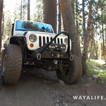 00428.MTS.00_00_14_54.Still002