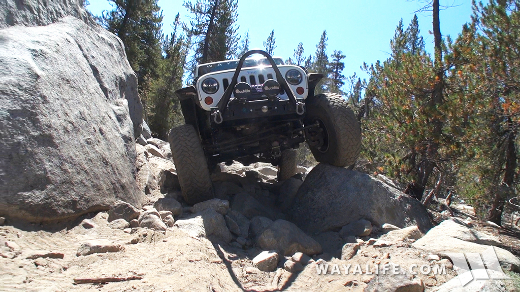 00429.MTS.00_00_10_17.Still001