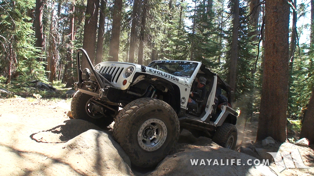 00436.MTS.00_00_16_11.Still001