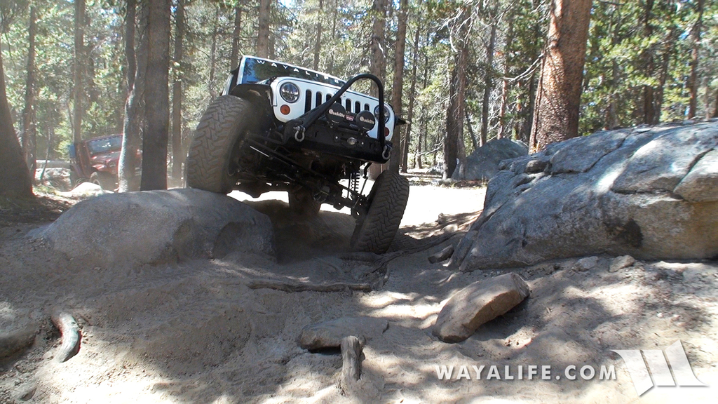 00439.MTS.00_00_20_48.Still001