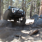 00439.MTS.00_00_20_48.Still001