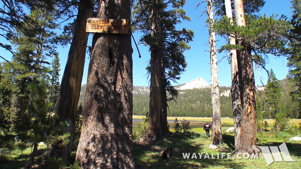 00444.MTS.00_00_22_53.Still001