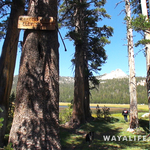 00444.MTS.00_00_22_53.Still001