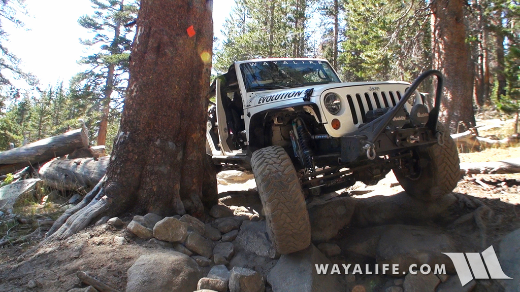 00451.MTS.00_00_29_49.Still001