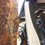 00451.MTS.00_00_35_45.Still002