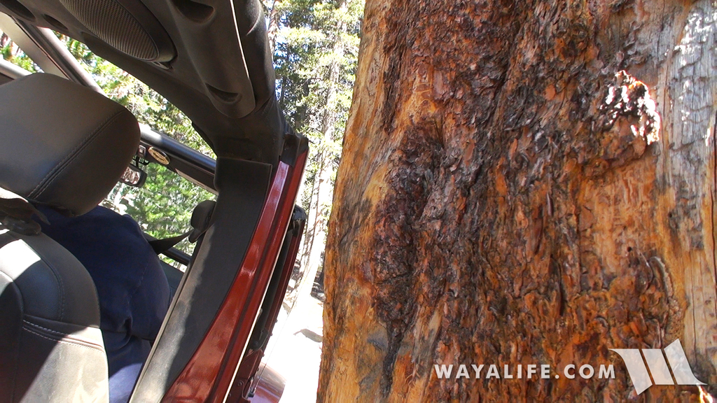 00451.MTS.00_01_41_09.Still003