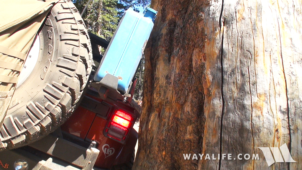 00451.MTS.00_01_54_16.Still004