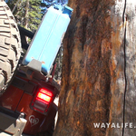 00451.MTS.00_01_54_16.Still004