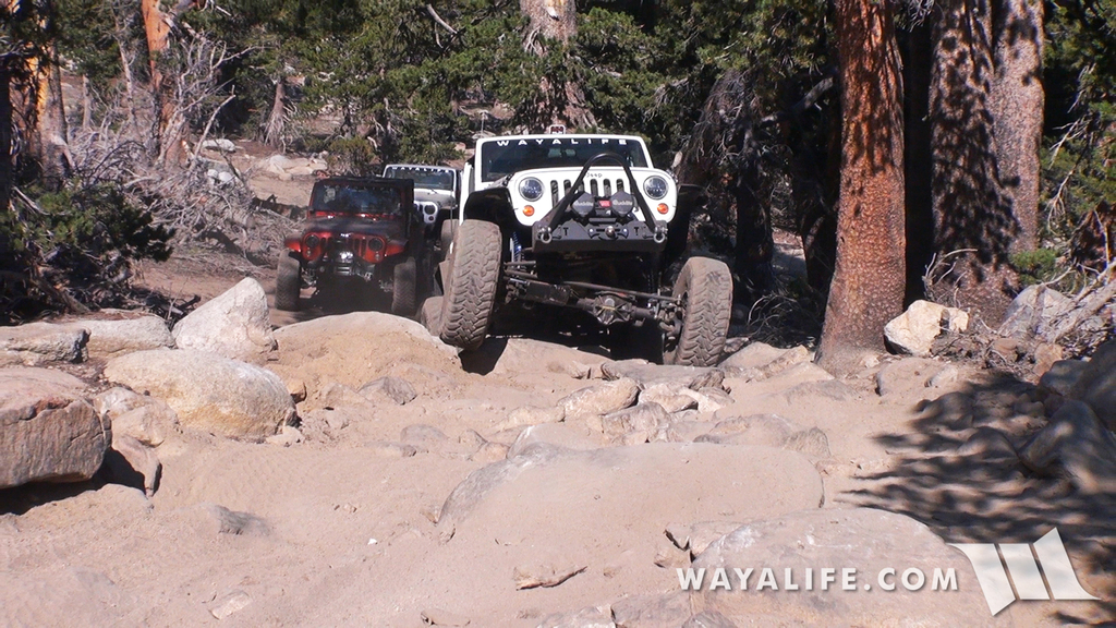 200008.MTS.00_00_14_21.Still001