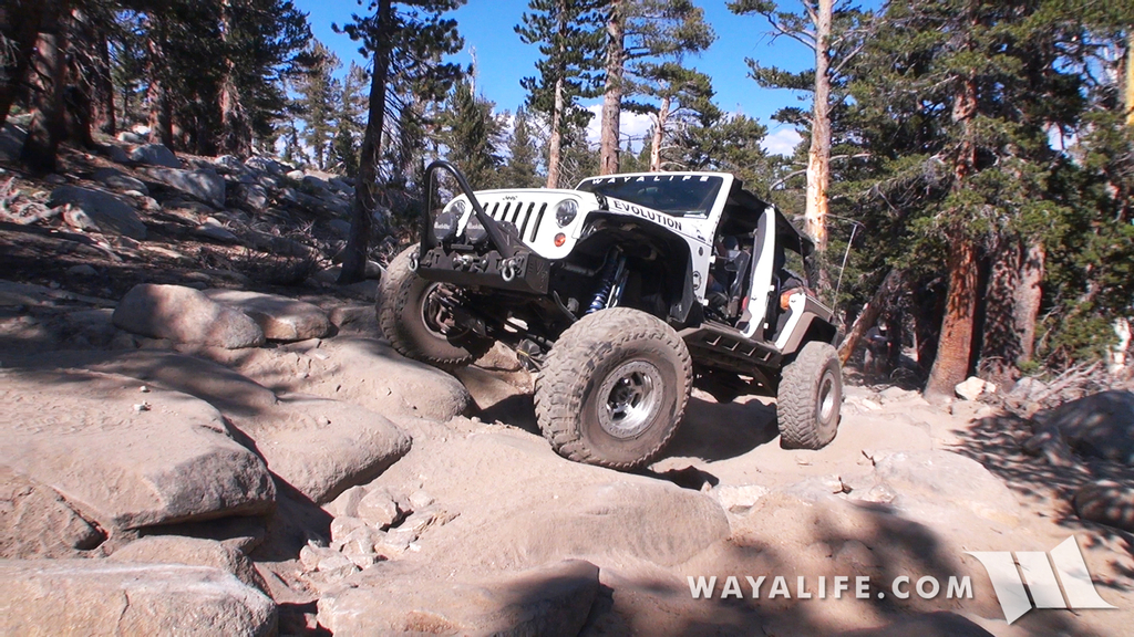 200008.MTS.00_00_24_35.Still002