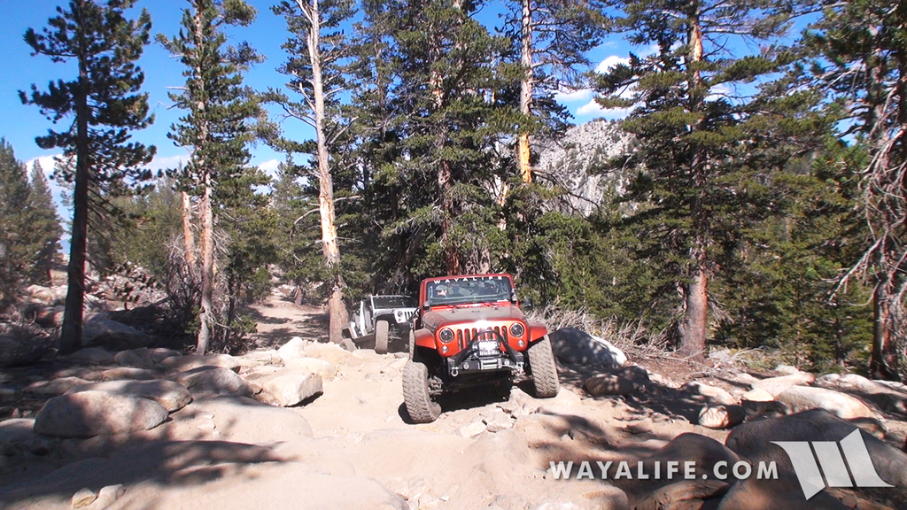 200008.MTS.00_00_47_38.Still003