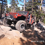 200008.MTS.00_01_21_01.Still004