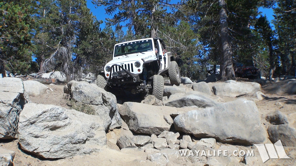 200012.MTS.00_00_16_12.Still001