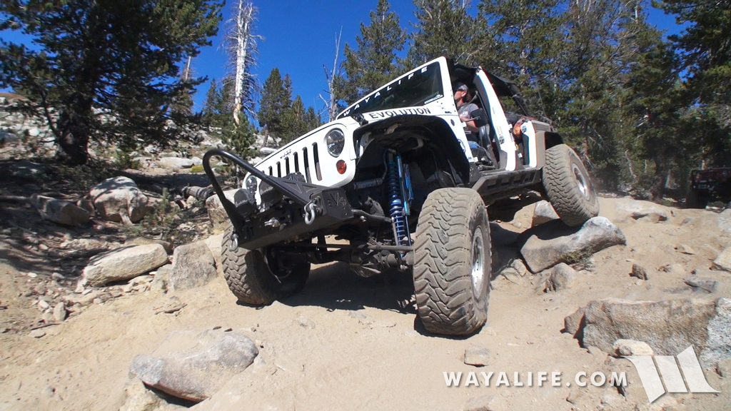 200013.MTS.00_00_18_25.Still001