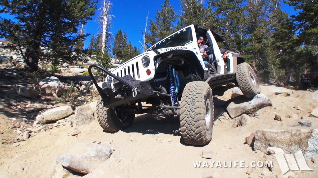 200013.MTS.00_00_18_25.Still001a