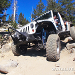 200013.MTS.00_00_18_25.Still001a