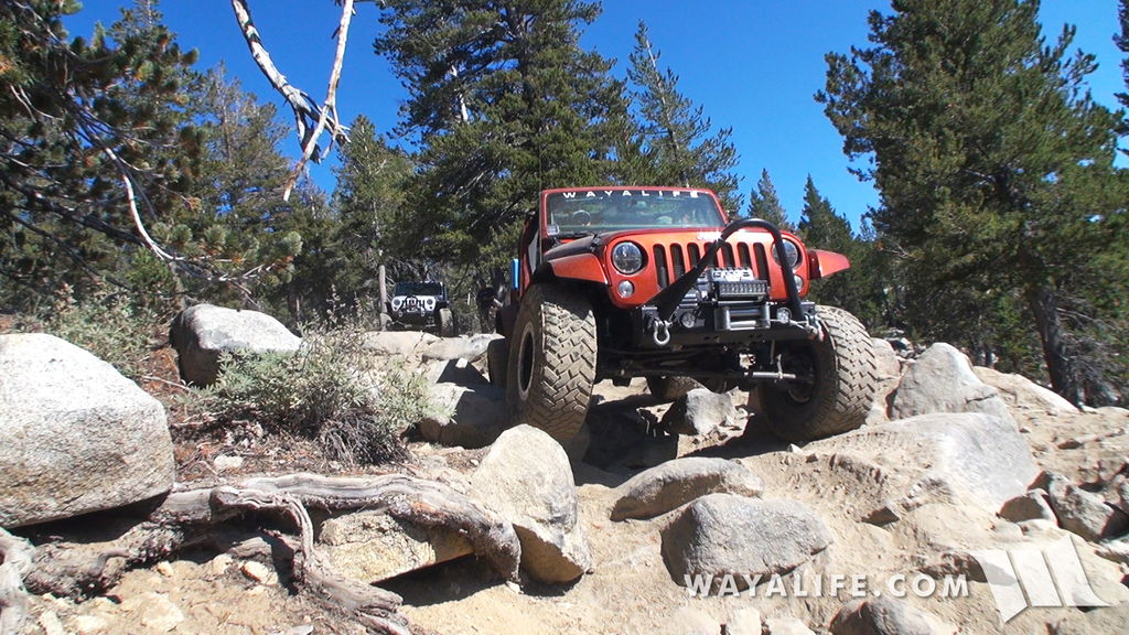 200013.MTS.00_01_50_10.Still003