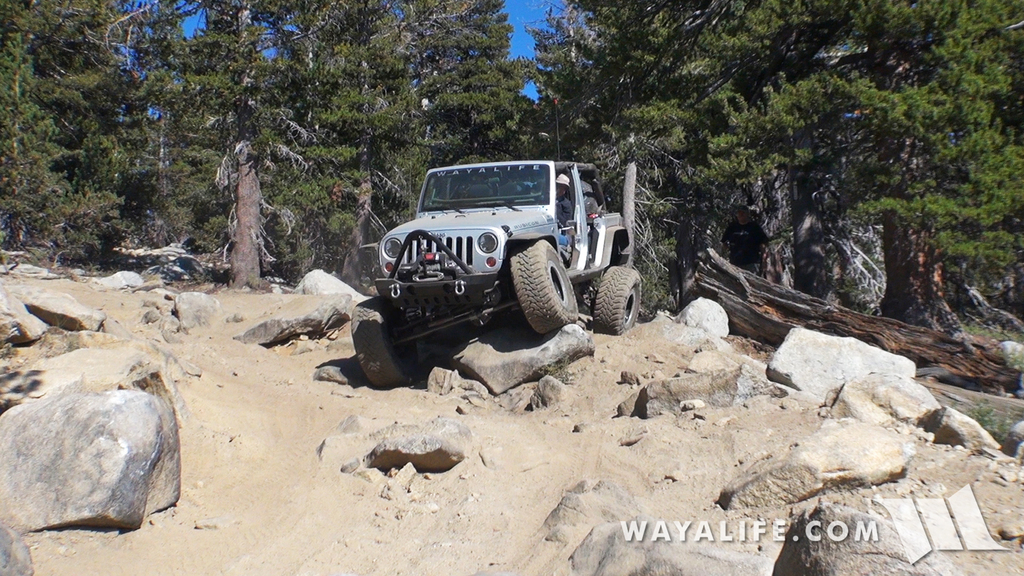 200013.MTS.00_02_36_29.Still004