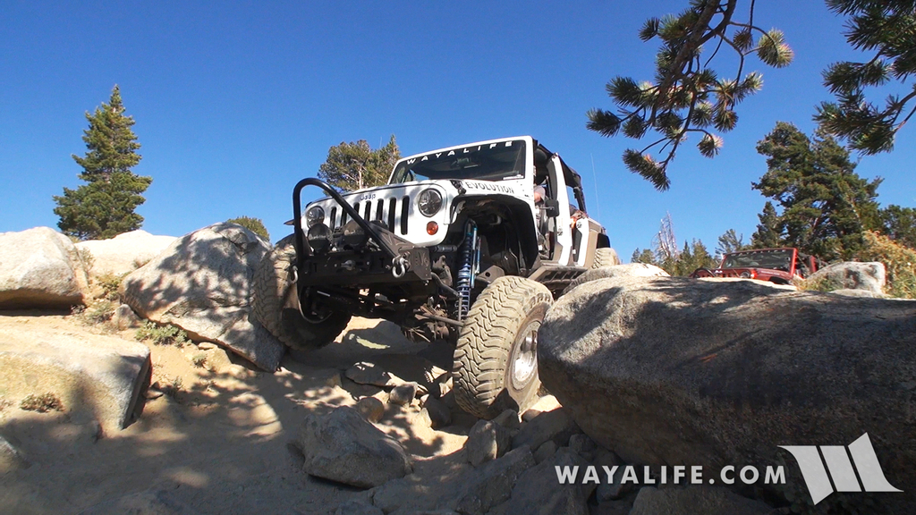 200020.MTS.00_00_15_05.Still001