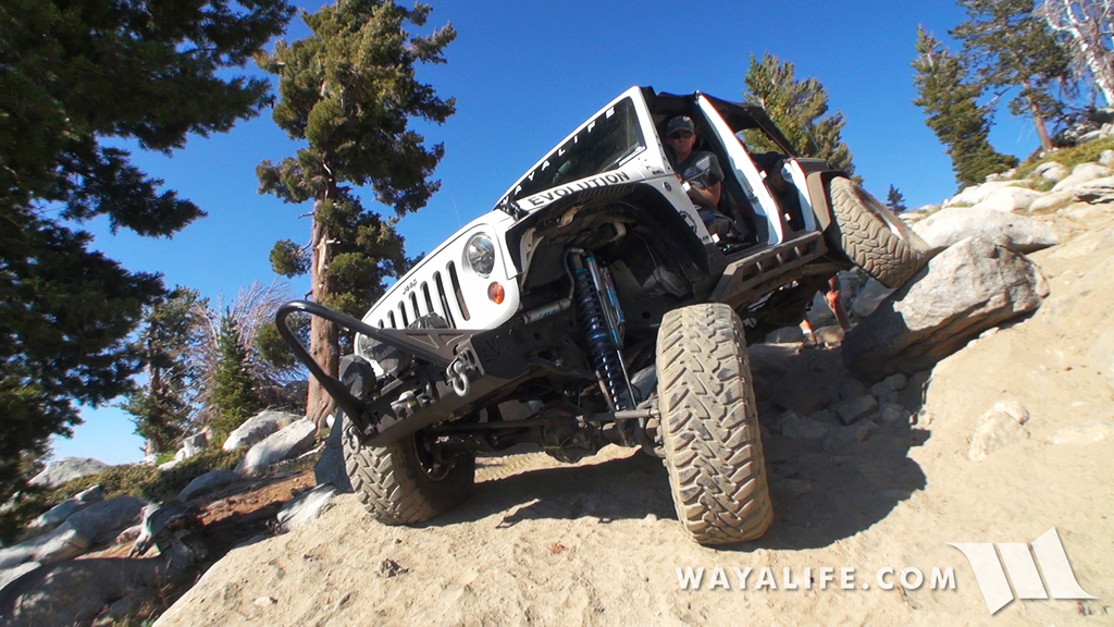 200021.MTS.00_01_09_28.Still003