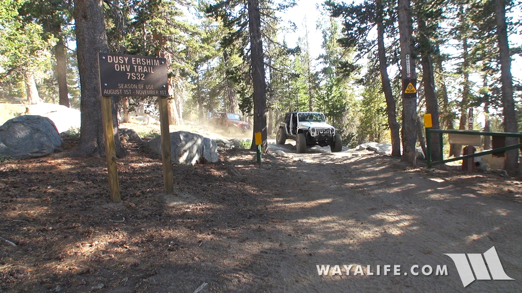 200026.MTS.00_00_14_08.Still001