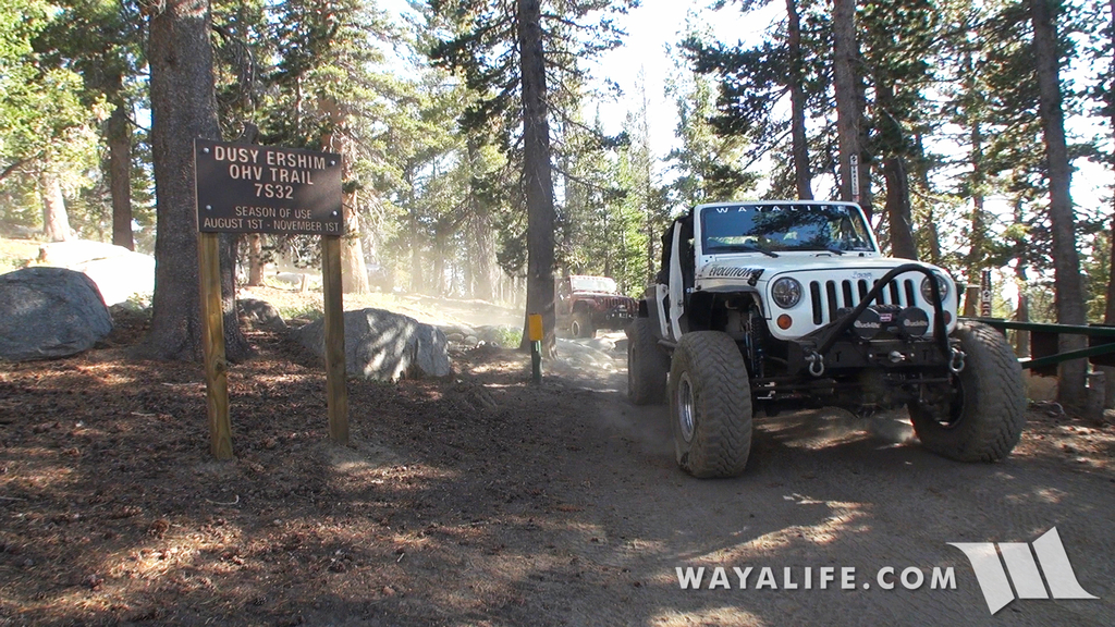 200026.MTS.00_00_20_19.Still002