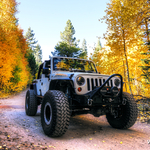 Jeep JK Wrangler (Moby) in the fall 2014