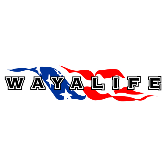 WAYALIFE Stars and Stripes Decal